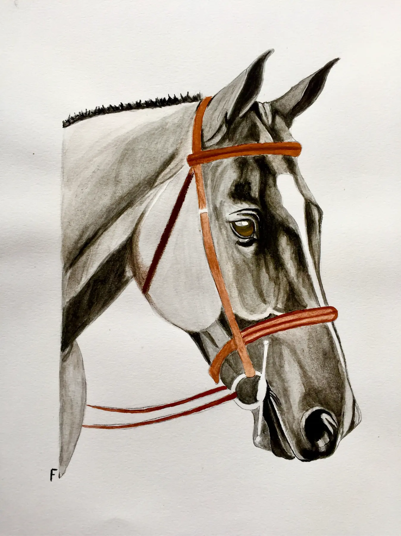 Hunter Bridle, drawing by Fulton Allem