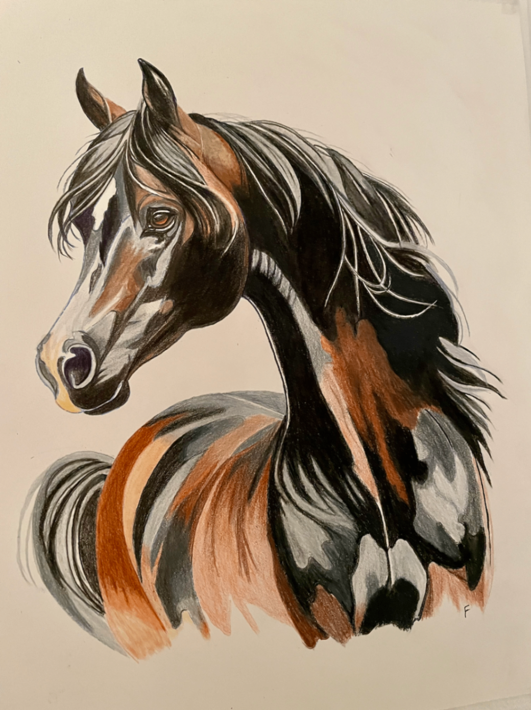 Arched Neck, drawing by Fulton Allem