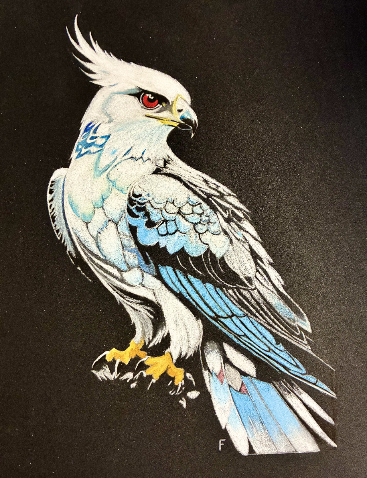 Crest and Talon, drawing by Fulton Allem