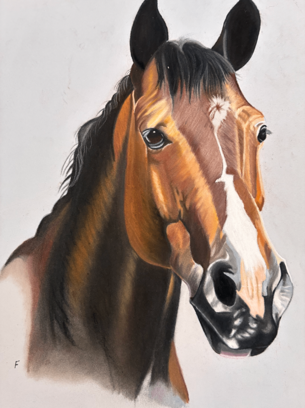 Broad Blaze, drawing by Fulton Allem