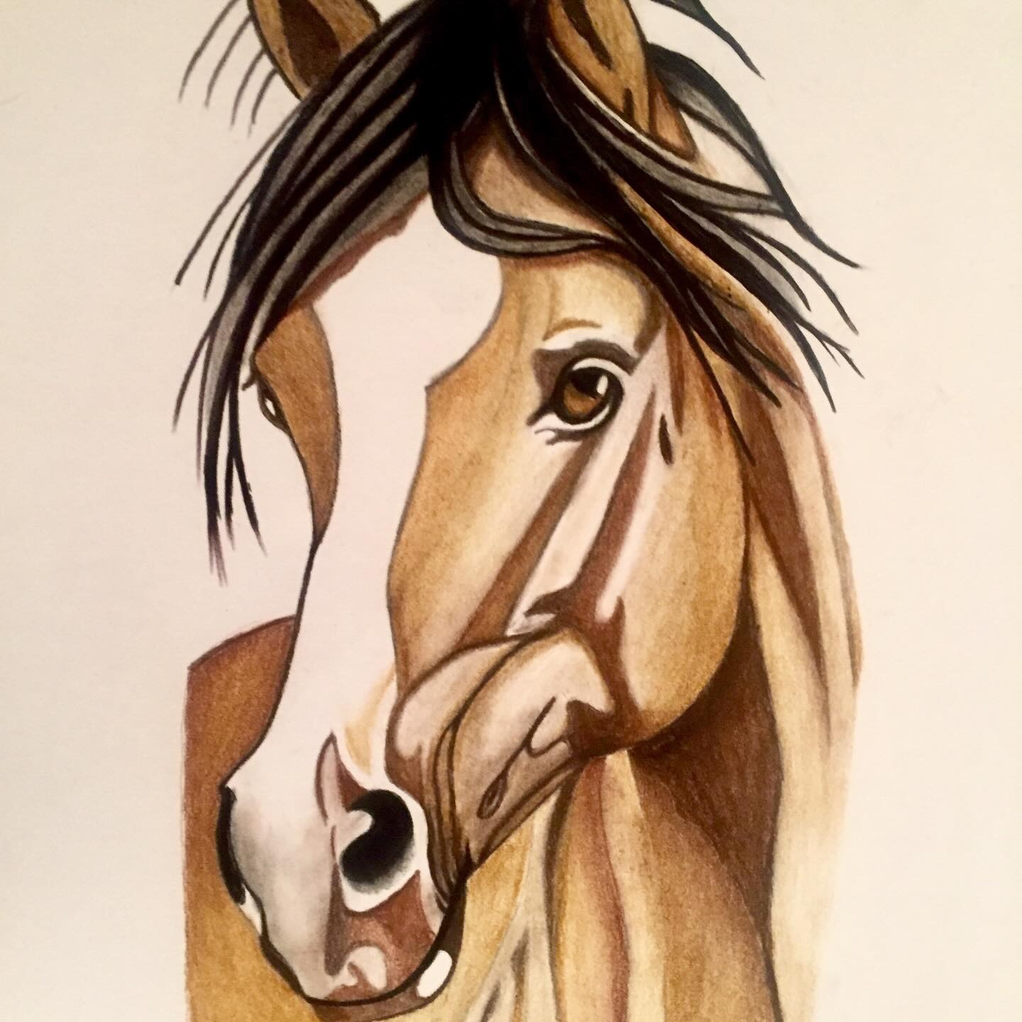 Buckskin Close, drawing by Fulton Allem