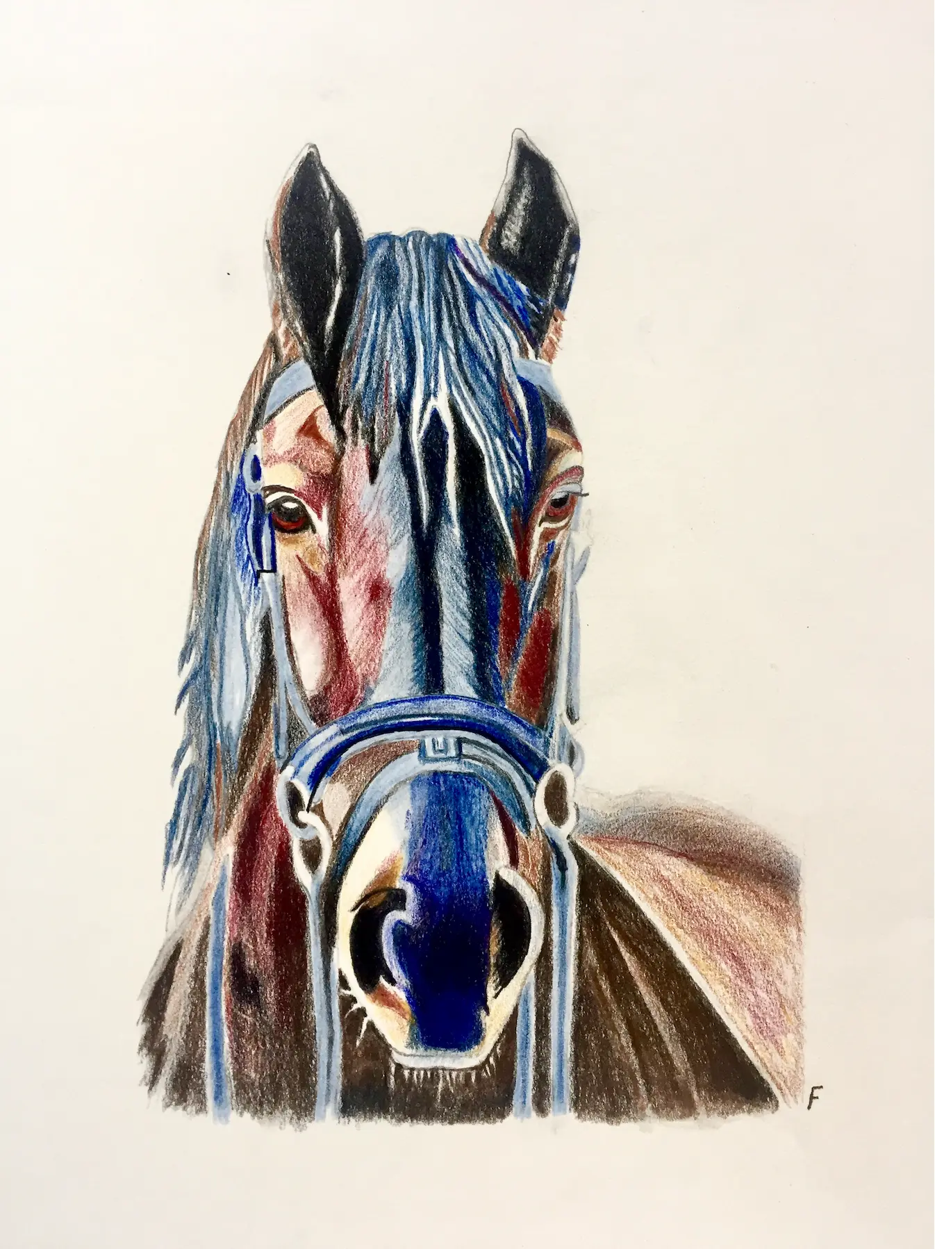 Blue Bridle, drawing by Fulton Allem