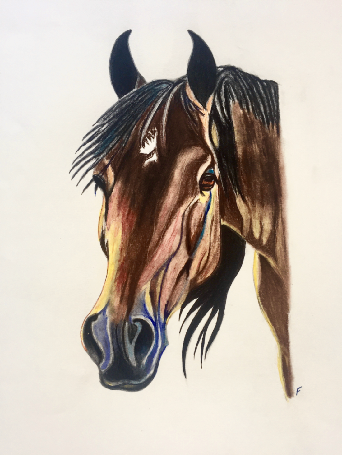 Black Forelock, drawing by Fulton Allem