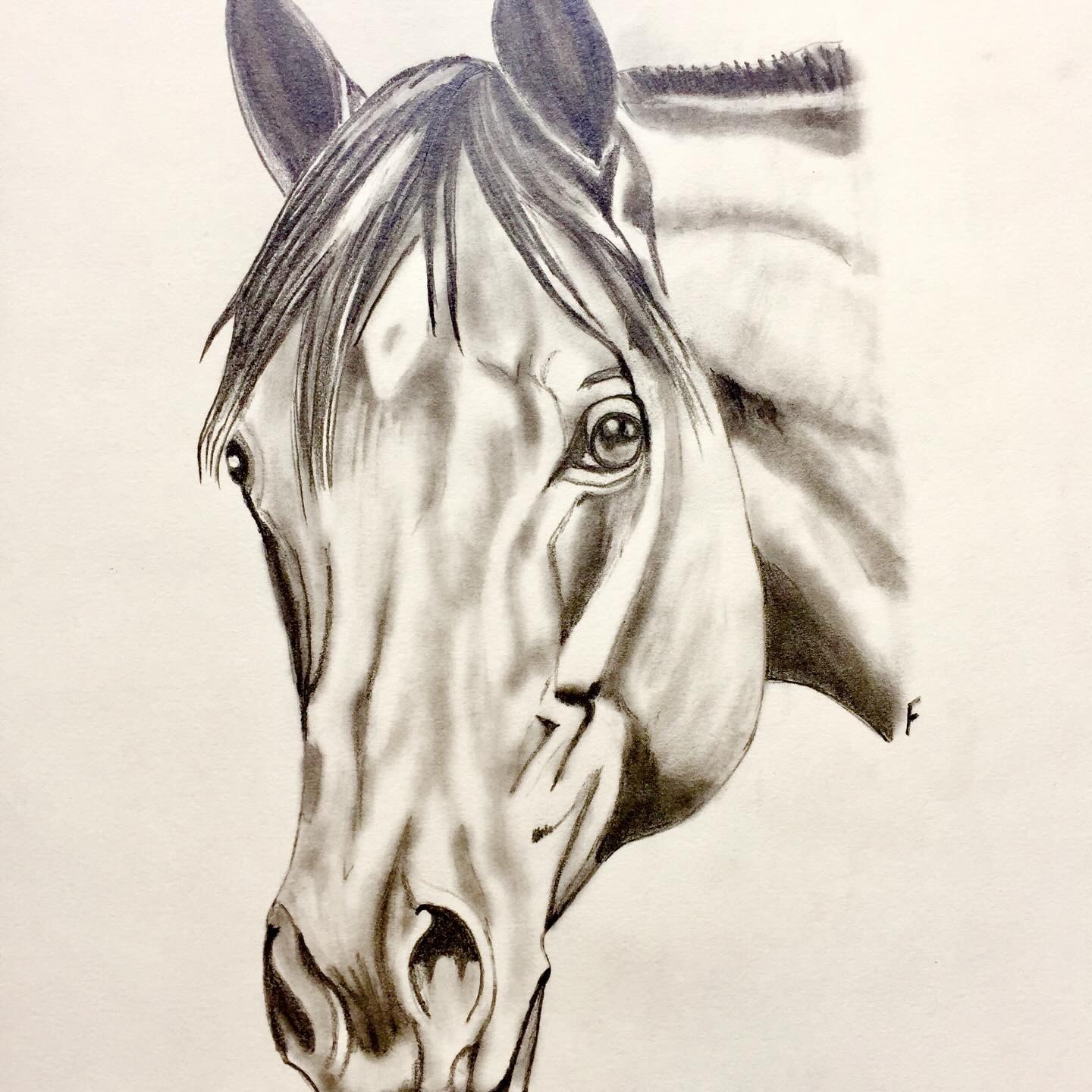 Silver Study, drawing by Fulton Allem