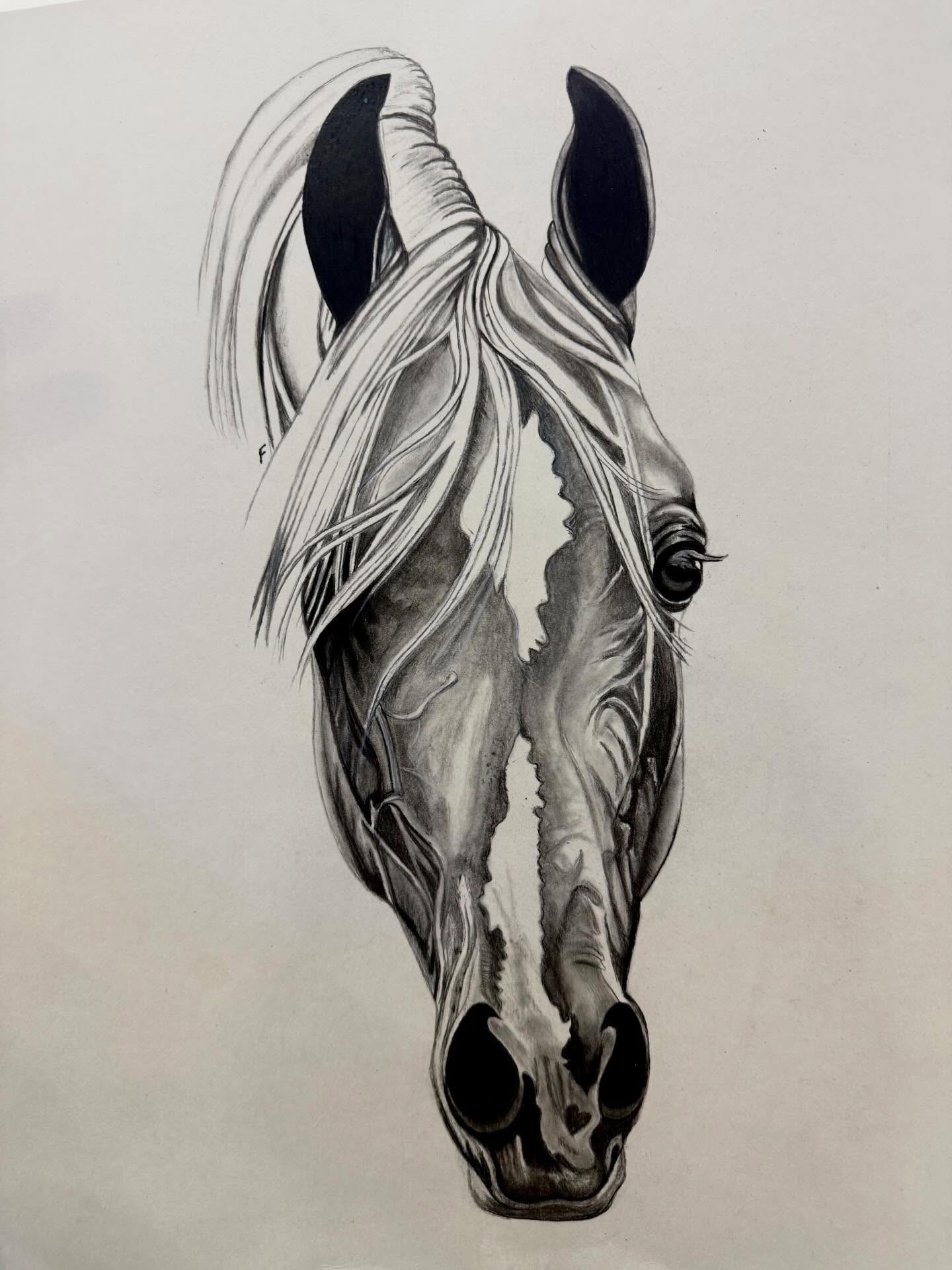 Graphite Forelock, drawing by Fulton Allem