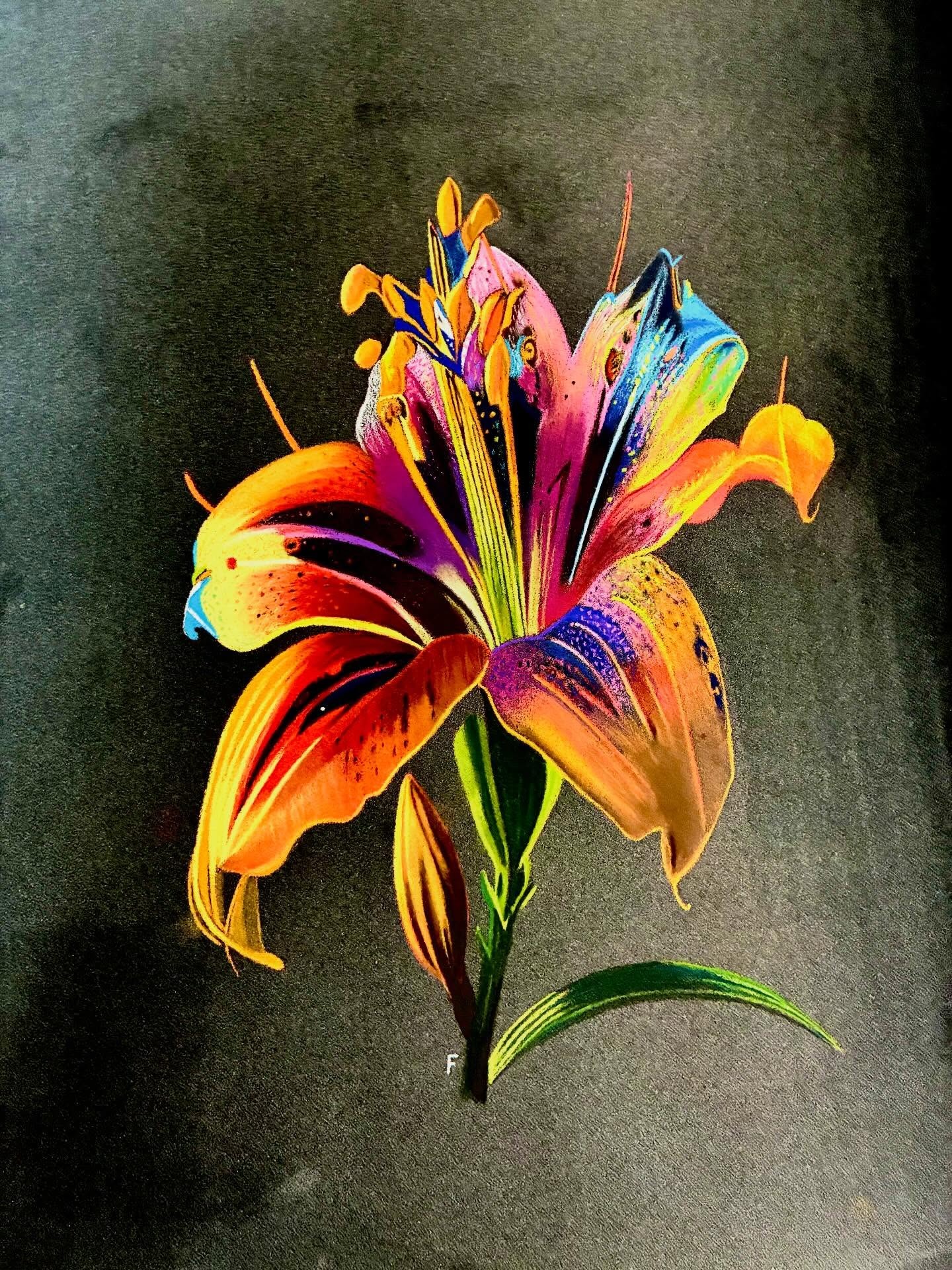 Tiger Lily, drawing by Fulton Allem