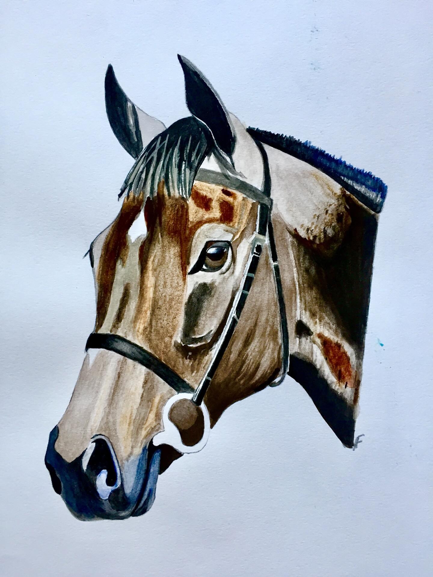 Halter on Blue, drawing by Fulton Allem