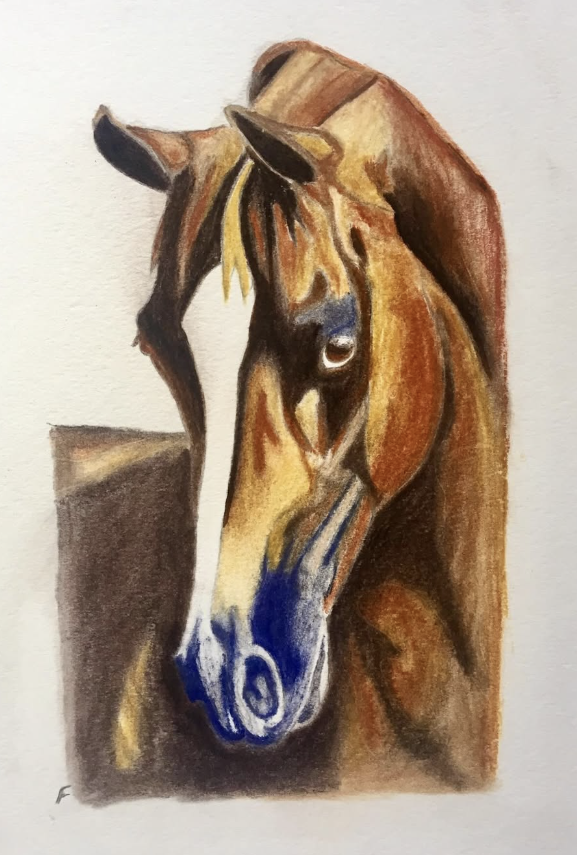 Cobalt and Chestnut, drawing by Fulton Allem