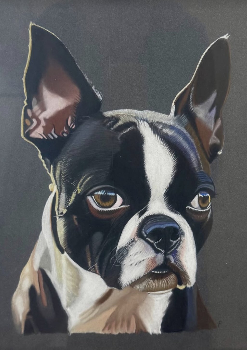 A completed custom animal portrait commission by Fulton Allem